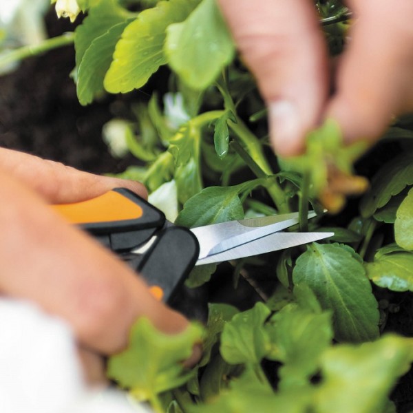 Ножницы для цветов Fiskars Solid™ Micro-Tip SP13 (1051600)