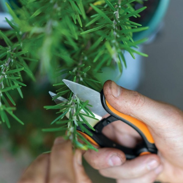 Ножницы для трав Fiskars Solid™ Herb SP220 (1063326)