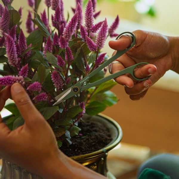 Ножницы для точной обрезки растений Fiskars Plant care с держателем (1075315)