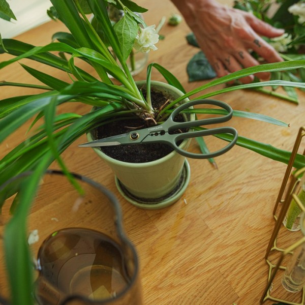 Ножницы для теплиц и комнатных растений Fiskars Plant care с держателем (1075316)