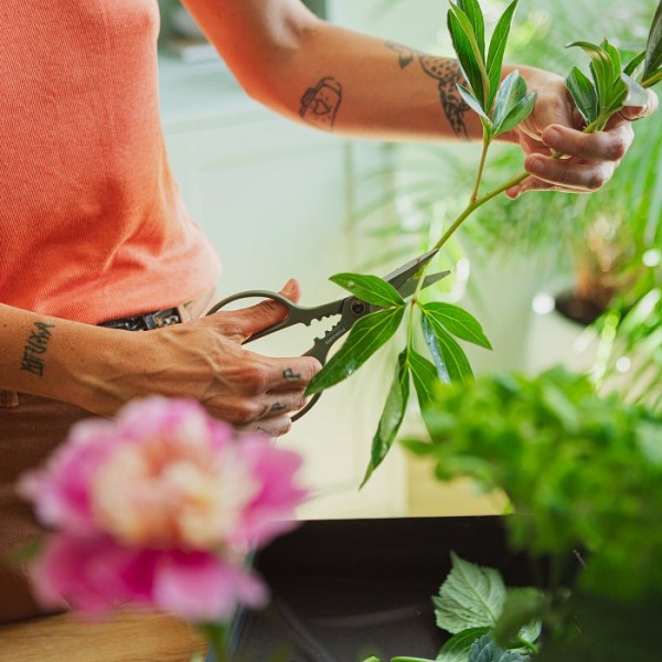 Ножницы для теплиц и комнатных растений Fiskars Plant care с держателем (1075316)
