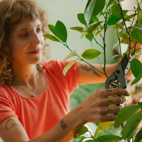 Набор инструментов для теплиц и комнатных растений Fiskars Plant care с держателями (1075317)