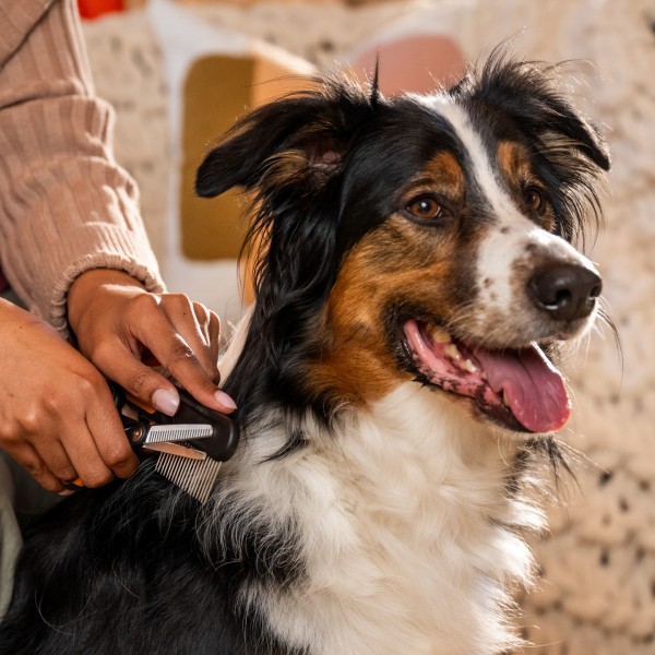 Філіровочні ножиці для стрижки собак і котів Fiskars Blending scissors (2009128)