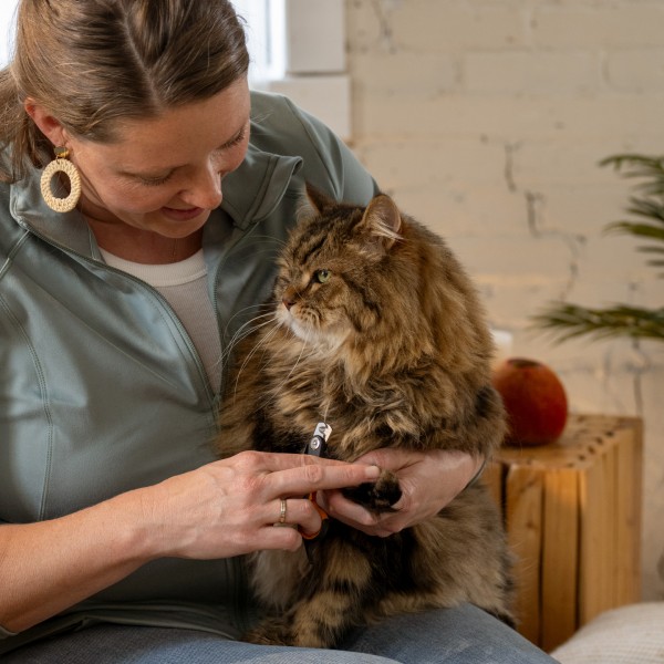 Кігтеріз з напікруглим лезом для котів та собак Fiskars Small Nail Clippers (2009130) Кігтеріз з напікруглим лезом для котів та собак Fiskars Small Nail Clippers (2009130)