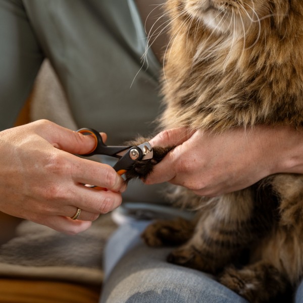 Кігтеріз з напікруглим лезом для котів та собак Fiskars Small Nail Clippers (2009130) Кігтеріз з напікруглим лезом для котів та собак Fiskars Small Nail Clippers (2009130)