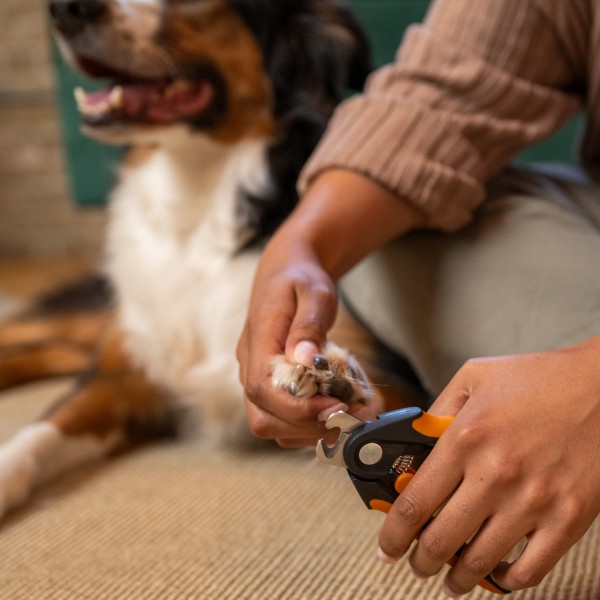 Кігтеріз з напівкруглим лезом для котів та собак Fiskars Nail Clippers (2009132) Кігтеріз з напівкруглим лезом для котів та собак Fiskars Nail Clippers (2009132)