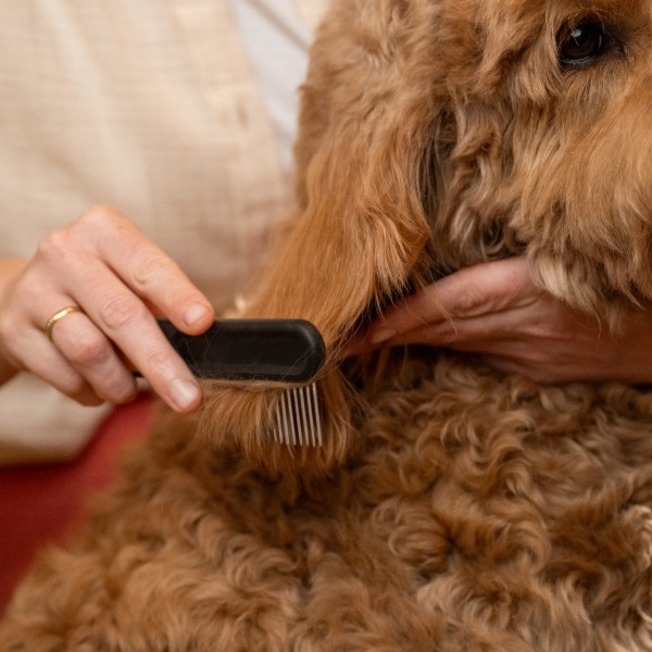 Расческа для груминга кошек и собак Fiskars Wide Toothed Comb (2009134) Расческа для груминга кошек и собак Fiskars Wide Toothed Comb (2009134)