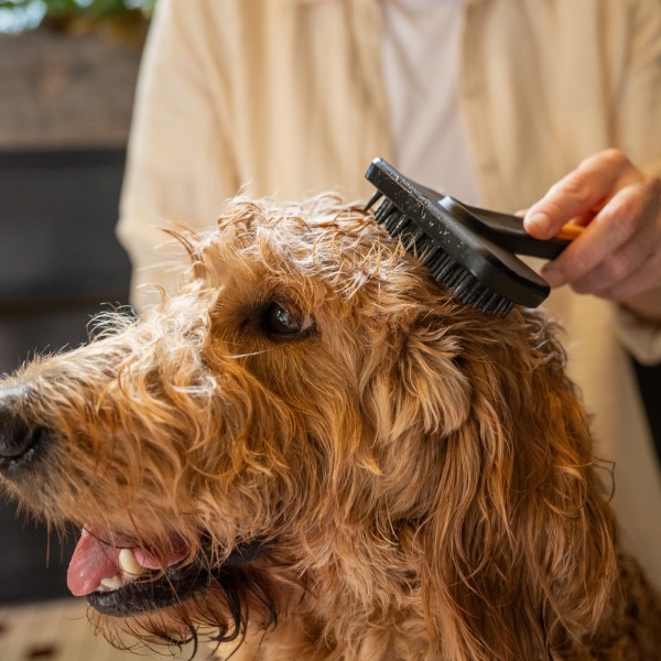 Масажна щітка для котів і собак Fiskars Massage Brush (2009140) Масажна щітка для котів і собак Fiskars Massage Brush (2009140)